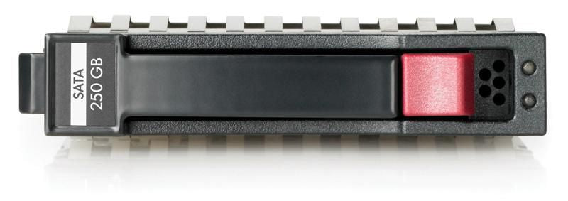 Hewlett Packard Enterprise 250GB SATA 7.200Rpm