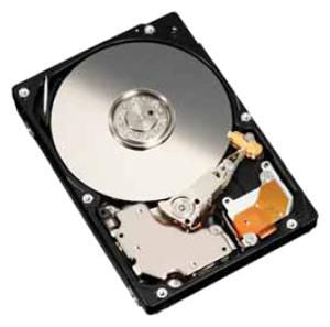 Fujitsu 73GB SAS 10.000RPM 2,5"